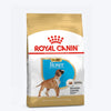 Royal Canin Boxer Puppy Dry Dog Food