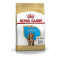 Royal Canin Cocker Spaniel Puppy Food – 3kg